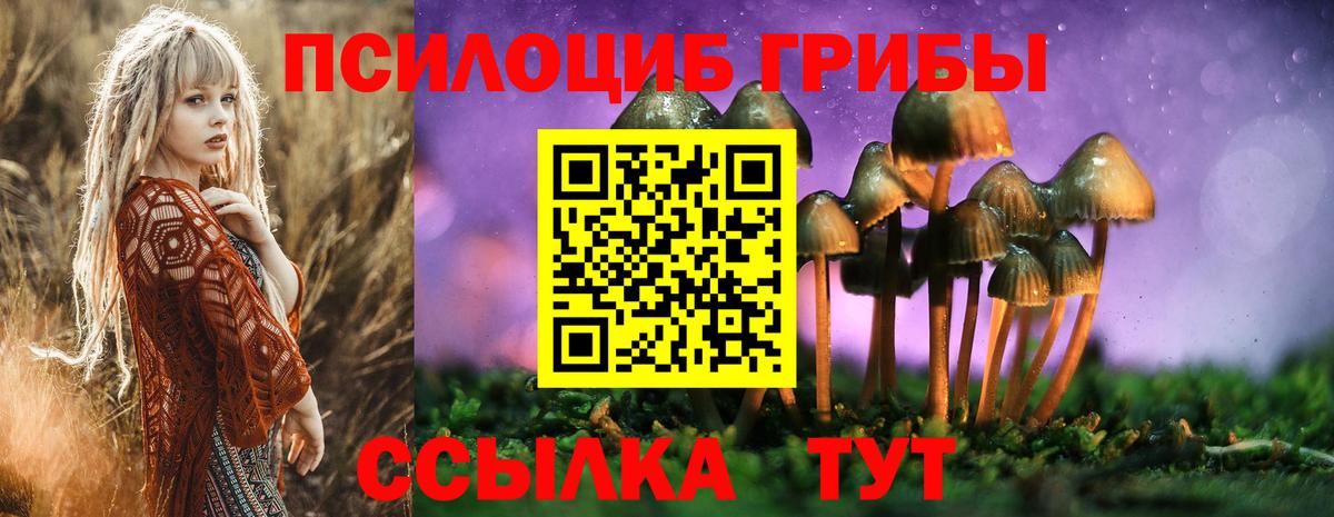 Галлюциногенные грибы Psilocybine cubensis  закладка  Заволжье  Галлюциногенные грибы мухоморы  Вход с VPN 